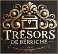 This is berichco site logo