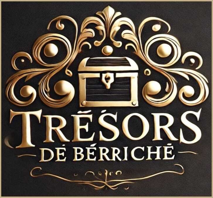 This is berichco site logo